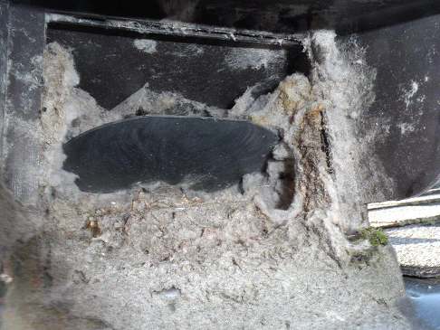 Dryer Vent